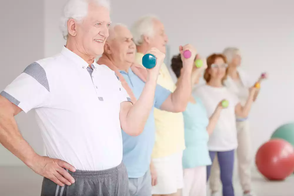 A group of elderly people standing in a line, holding small dumbbells, and performing a weight exercise.